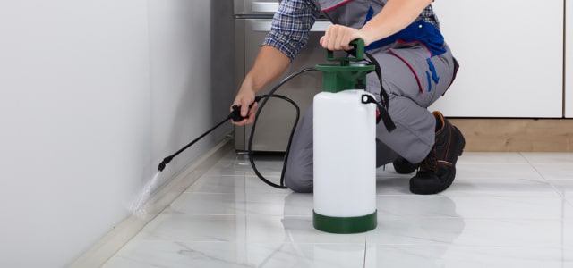 Exterminador de cinches en Oklahoma